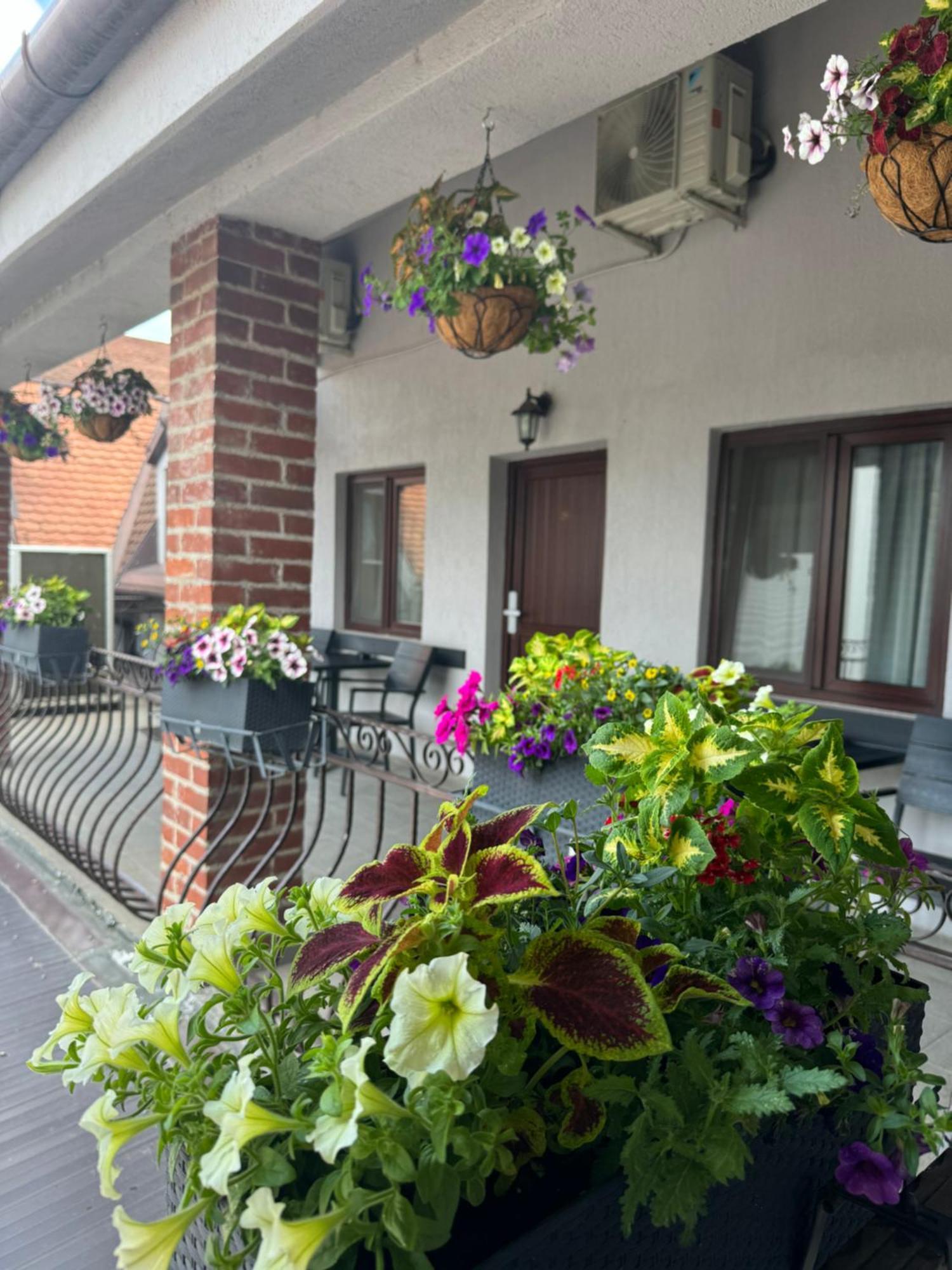 Hotel Casa Mignon Oradea Exterior foto